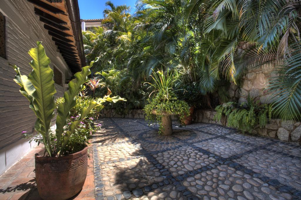 Villa Celeste Puerto Vallarta Zewnętrze zdjęcie